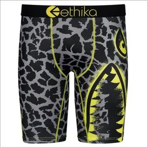 Ethika Briefs